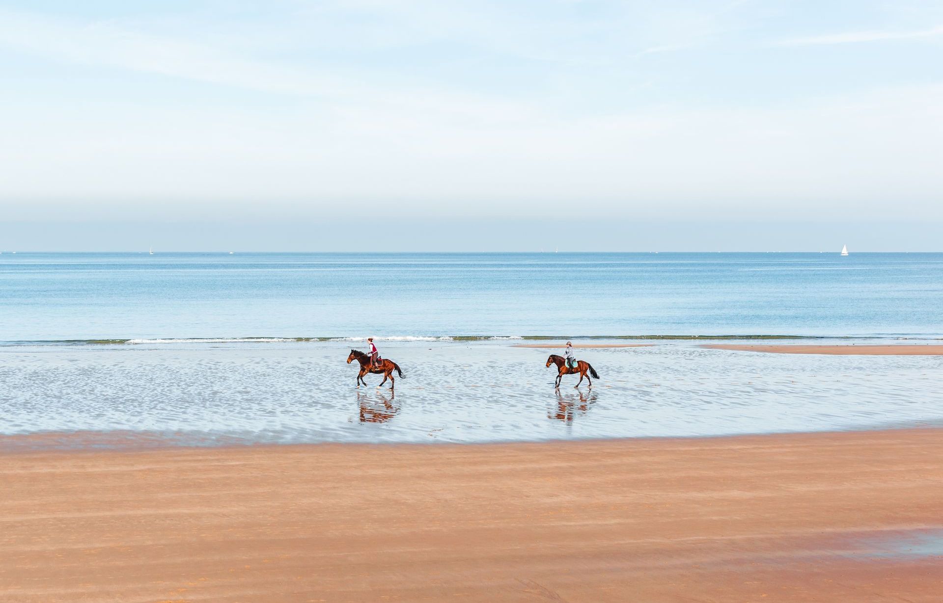 Two people ride horses through shallow water on a calm beach, with sailboats far out on the horizon.