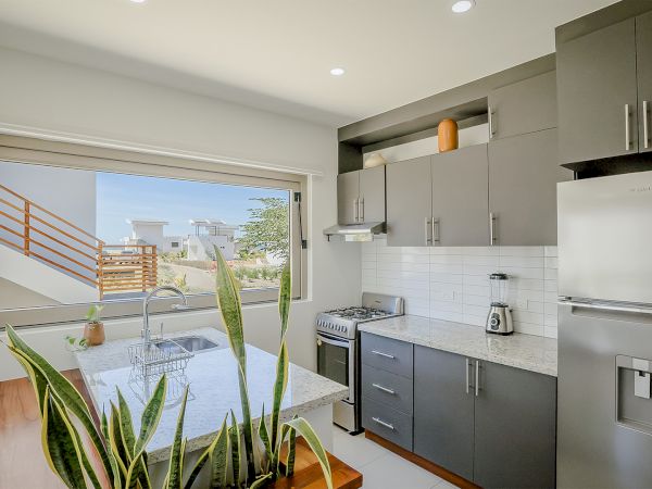 Bright modern kitchen with gray cabinets, granite counter, sink, stove, dishwasher, and a patio-view window, with plants in the corner.
