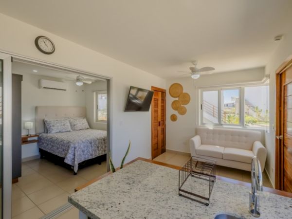 Bright room with a couch, bed, wall clock, ceiling fan, and large windows, plus framed decor on the walls.