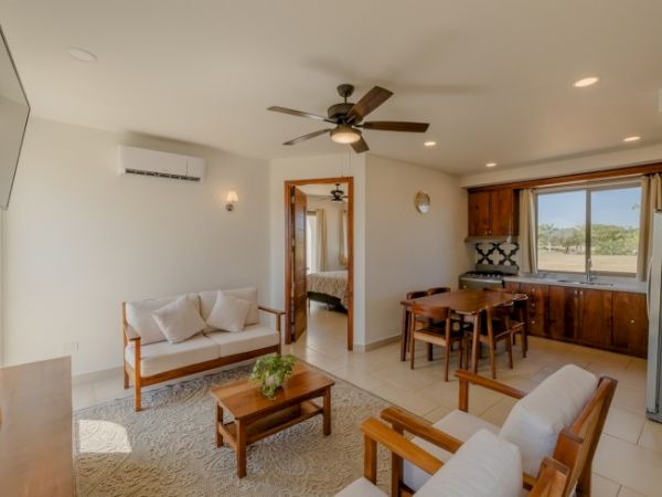 Bright living/dining room with sofa, coffee table, ceiling fan, wooden chairs, and large window overlooking hills.