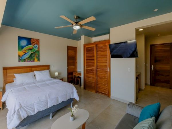 A bright modern bedroom with a white bed, ceiling fan, wall art, TV, and wood doors opening to a hallway.