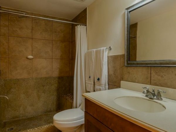 A small bathroom with a tiled shower, toilet, and a vanity with a sink and mirror.