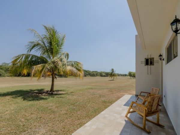 A sunny house porch with rocking chairs, a palm tree, and a wide grassy lawn stretching into the distance.