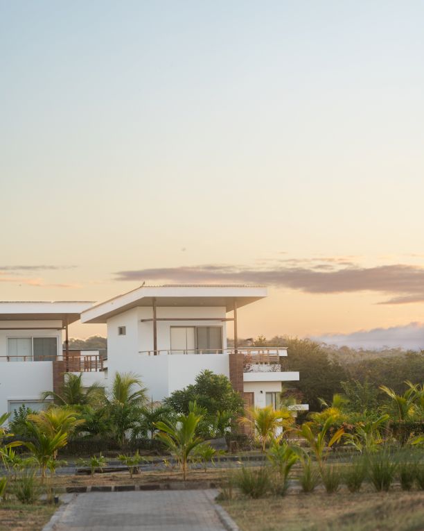 A modern white villa with terraces and palm trees under a soft sunrise sky.