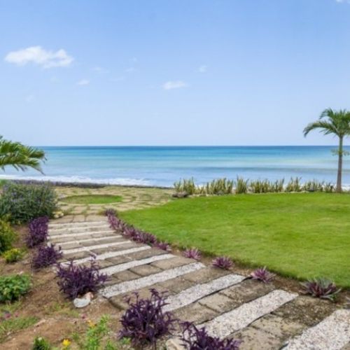 A sunny oceanfront garden with a stone path, purple flowers, and palm trees beside calm blue waves under a clear sky.