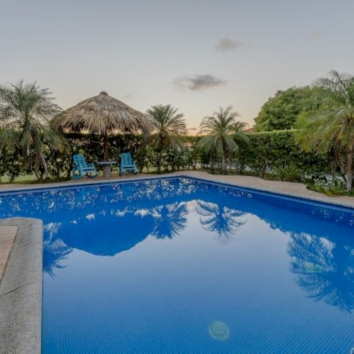 A tropical resort scene with a blue swimming pool, palm trees, and two blue lounge chairs under a thatched roof.