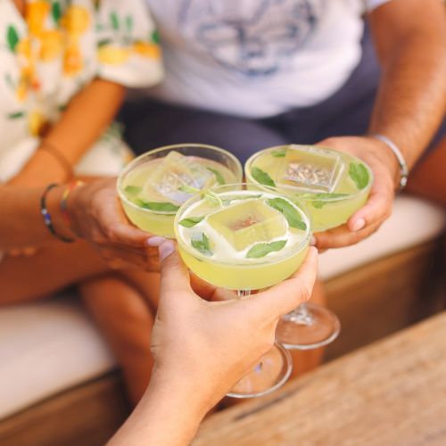 Friends clink glasses of refreshing minty lemonade with lime and fresh herbs in a sunny get-together.