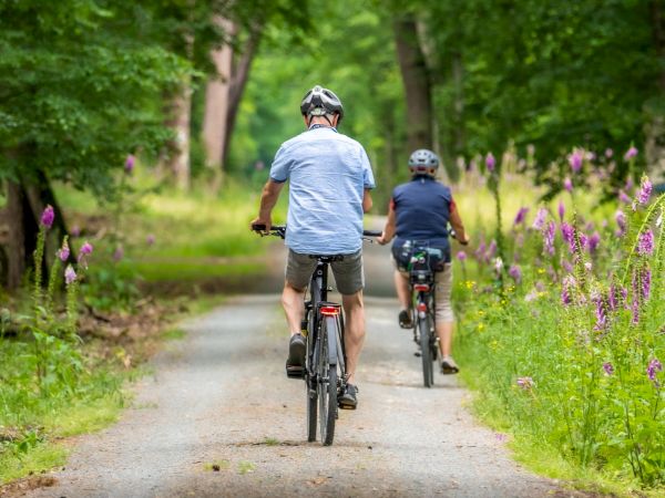 Two cyclists ride away down a tree-lined path, pedaling through spring greenery and purple wildflowers.