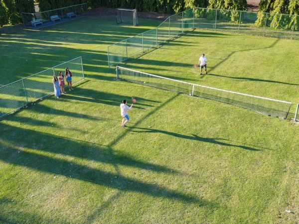 Sunny outdoor grass court with a net, where people play ball and move around in the yard.