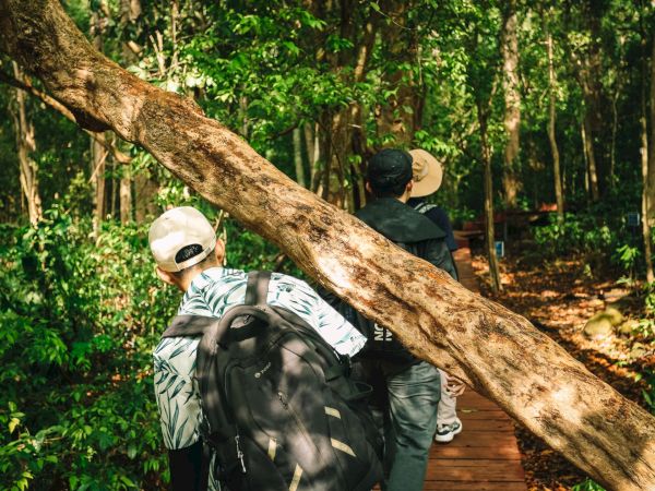 Two hikers in hats and backpacks walk along a forest path beneath a large fallen tree, surrounded by lush green jungle.