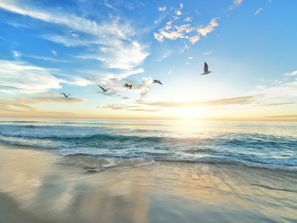 A serene beach at sunrise with gentle waves, golden horizon light, and seagulls gliding across the blue sky.