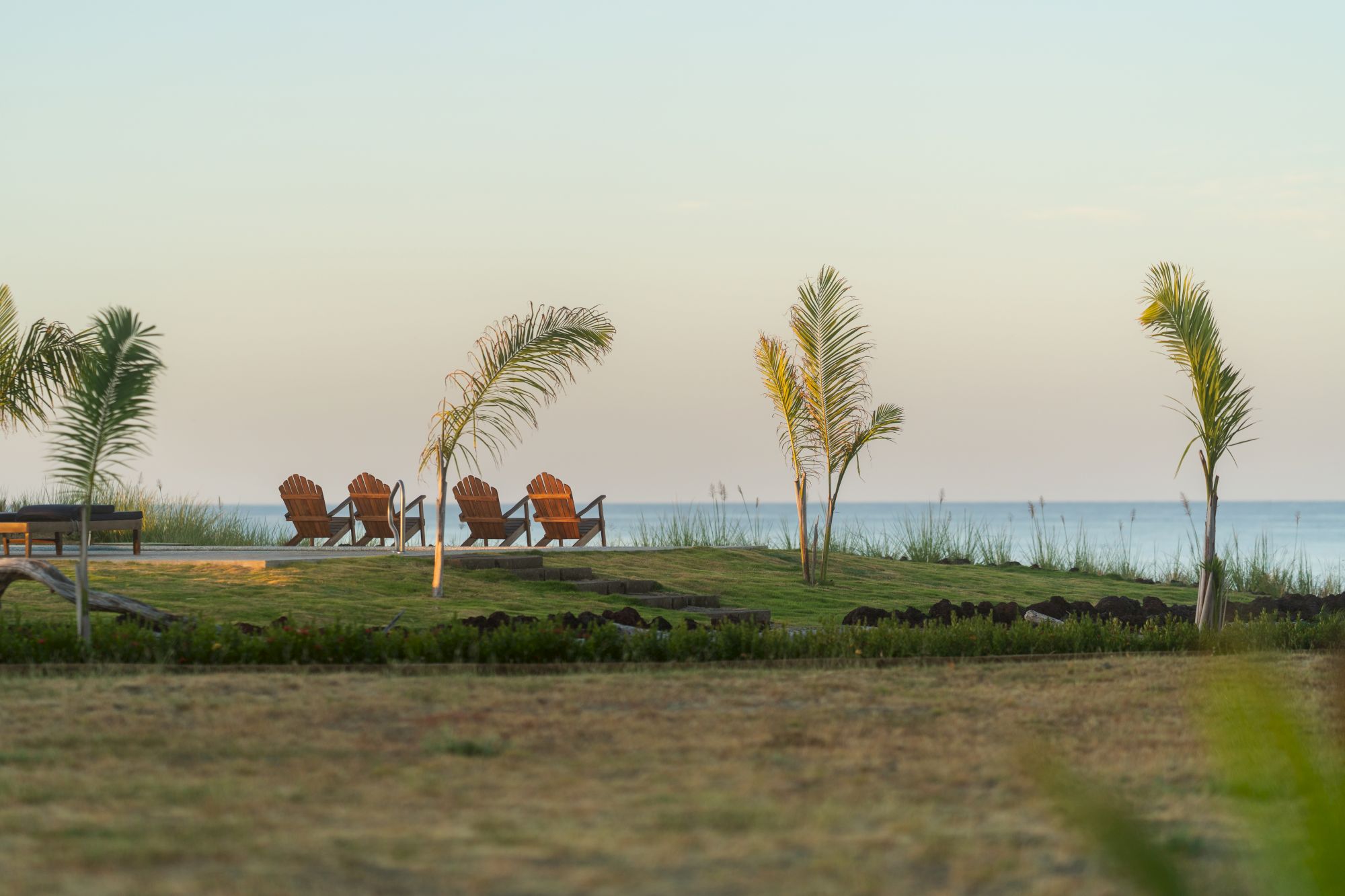 A tranquil beachfront with wooden chairs, palm trees, and calm ocean waves under a pale sky.