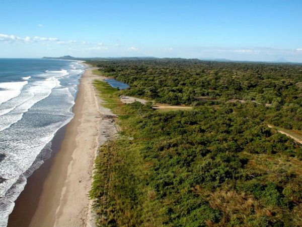 Aerial view of a sandy beach beside the ocean, with dense green forest and a winding dirt road inland.
