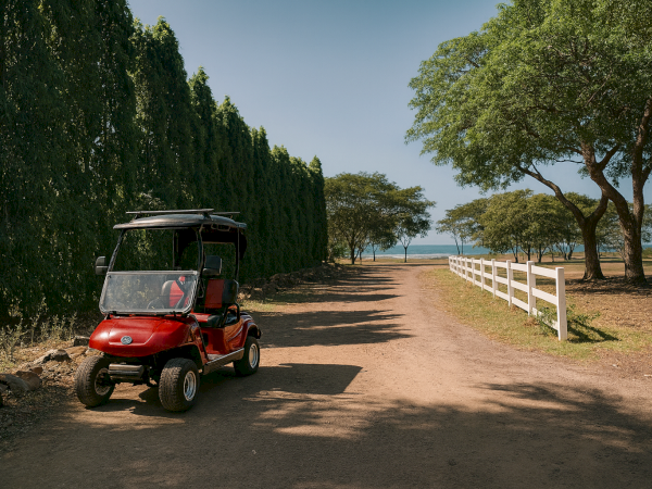 A red golf cart sits on a dirt path beside a white fence, with green trees and the ocean in the background.